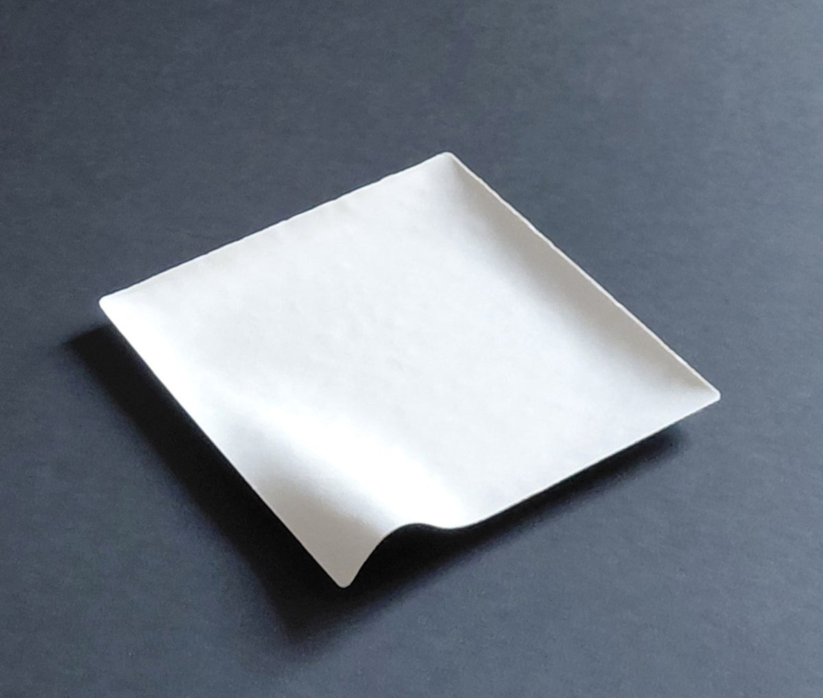 CAPRI PLATE. 25 PACK